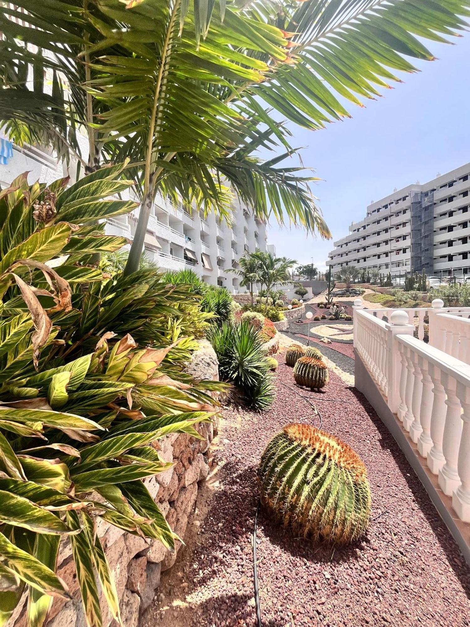 אדחה Beach House Apartment מראה חיצוני תמונה